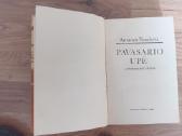 Antanas Venclova "Pavasario upė" - nuotraukos Nr. 2