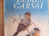 I. Sokolovas-mikitovas Žemės garsai