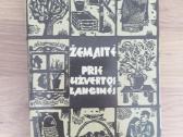 Žemaitė Prie Užvertos Langinės