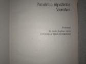 A. Strinbergas Pamišėlio užrašai , Vienišas - nuotraukos Nr. 2