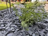 Black premium skalūnas 30-60 Dekoakmenukai - nuotraukos Nr. 6