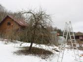 Šienavimas, medžių genėjimas, gyvatvorių karpymas - nuotraukos Nr. 12