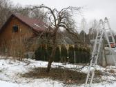Šienavimas, medžių genėjimas, gyvatvorių karpymas - nuotraukos Nr. 13