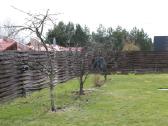 Šienavimas, medžių genėjimas, gyvatvorių karpymas - nuotraukos Nr. 16