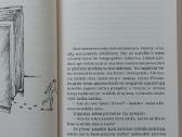 David Sedaris " Nuogas " .Parduodu knygą . - nuotraukos Nr. 15