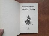 Pilkoji Pelėda "Apleistos trobelės Pasakojimai" - nuotraukos Nr. 3