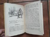 Pilkoji Pelėda "Apleistos trobelės Pasakojimai" - nuotraukos Nr. 6