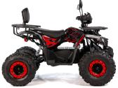 Elektrinis keturratis XTR Venom 1500w - nuotraukos Nr. 13