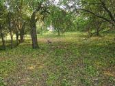 Parduodu sodybą - vienkiemį Dauginčių km. 93 arai - nuotraukos Nr. 15