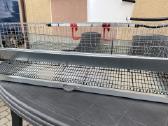 Putpeles 5€ Vilnius (naujoji Vilnia) - nuotraukos Nr. 3