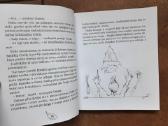 Kristina Gudonytė "Gelių dvaras" 2011 metai. - nuotraukos Nr. 5