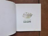 Giedrė Bulotaitė "Gailutė" 2017 metai - nuotraukos Nr. 4