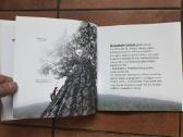 Giedrė Bulotaitė "Gailutė" 2017 metai - nuotraukos Nr. 5