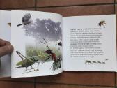 Giedrė Bulotaitė "Gailutė" 2017 metai - nuotraukos Nr. 6