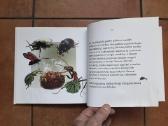Giedrė Bulotaitė "Gailutė" 2017 metai - nuotraukos Nr. 9