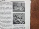 " Taйны аномальных явлений" 2002 год - nuotraukos Nr. 8