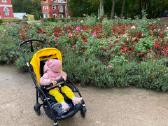 Bugaboo bee 6 - nuotraukos Nr. 3