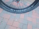 Fat bike - nuotraukos Nr. 6