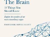 The Brain: 10 Things You Should Know