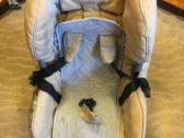 Maxicosi autokėdutė 9-18kg