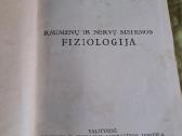 Sveikata - nuotraukos Nr. 3
