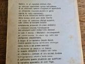 Vintažinis romanas -slaptosios tarnybos, italų k. - nuotraukos Nr. 2