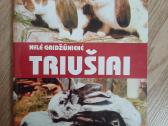 Triušiai