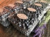 Lietuvoje užaugintos šilauogės 8 €/kg - nuotraukos Nr. 3