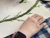 Dailės pamokos. Meniniai užsiėmimai. - nuotraukos Nr. 9