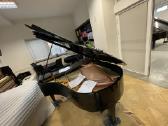 Nuomoju pianina Petrof - nuotraukos Nr. 4