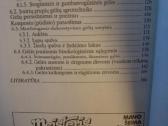 Žalioji sodybos skraistė - nuotraukos Nr. 4