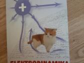 Elektrodinamika
