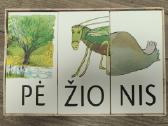 Žaidimas vaikams Sudėk žodį - nuotraukos Nr. 3