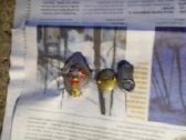 Kindžalai kaukazietiški ženklai ženkliukai ir kita - nuotraukos Nr. 7