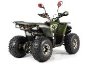 Keturratis Tao 125cc Kokybiškiausias Akcija - nuotraukos Nr. 15