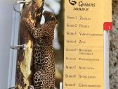 Gyvūnijos pasaulyje - nuotraukos Nr. 3