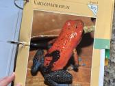 Gyvūnijos pasaulyje - nuotraukos Nr. 6