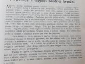 Tarpukario knyga Visuotinė Meno Istorija Vaizdyba - nuotraukos Nr. 7