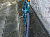 Velo - nuotraukos Nr. 2