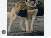 Laika firmos krepsiai suniui/augintiniui