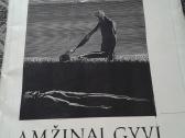 Grožinė literatūra, fotografija, knygelės vaikams. - nuotraukos Nr. 11