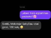 Anglų Kalbos Korepetitoriai Kaune, Vbe vertintojai - nuotraukos Nr. 4