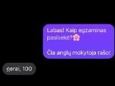 Anglų Kalbos Korepetitoriai Kaune, Vbe vertintojai - nuotraukos Nr. 5