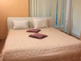 Nuomuojami dviejų kambarių apartamentai