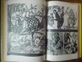 556. Gaudžia Ragas Isokas G. - nuotraukos Nr. 6