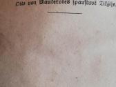 Giesmynas tilze - nuotraukos Nr. 2