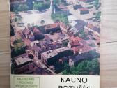Daug knygu negroziniu knygu kelionių, istorijos - nuotraukos Nr. 14