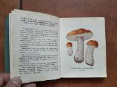 J. Mieželaitis ir A. Gricius "Grybai" 1970 metai - nuotraukos Nr. 4
