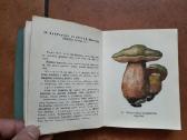 J. Mieželaitis ir A. Gricius "Grybai" 1970 metai - nuotraukos Nr. 5