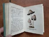 J. Mieželaitis ir A. Gricius "Grybai" 1970 metai - nuotraukos Nr. 6